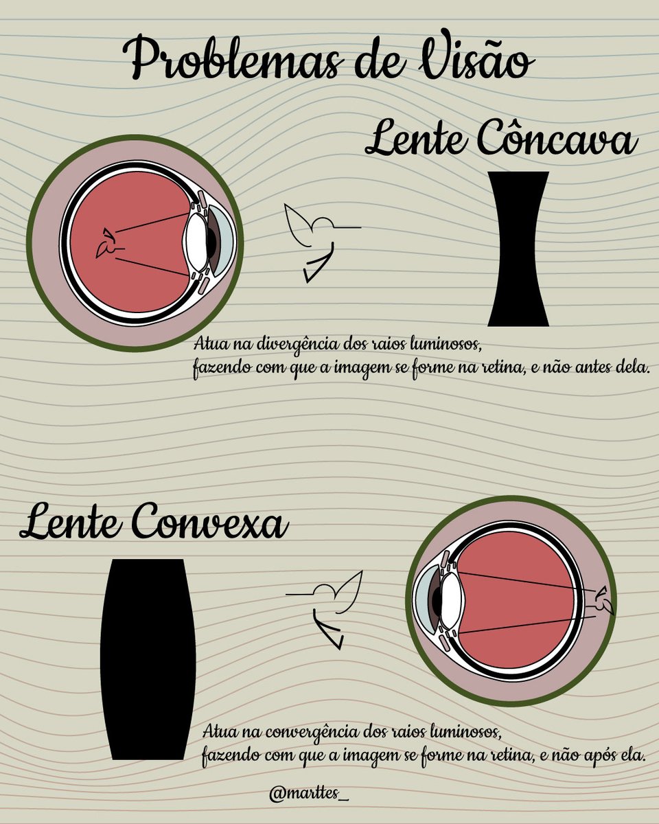 mariaajacke's tweet photo. Como funciona o olho humano? 👁️🔍
Vem saber aqui nessa #químthreadBr 
O olho possui um sistema complexo d lentes q vai desde a córnea até o cristalino, sendo a pupila a responsável pela entrada dos feixes de luz, qnd está mt claro a pupila se contrai 1/10 https://t.co/zqwfLbOjpm