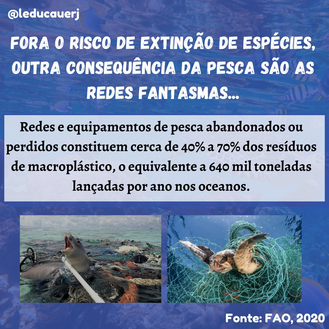 leducauerj's tweet photo. Neste dia também reforçamos a importância da conservação da sua biodiversidade e saúde para garantir a estabilidade climática da vida na Terra.

#diadooceano #oceansday #worldoceansday #meioambiente #leducauerj https://t.co/mYupgM14kQ