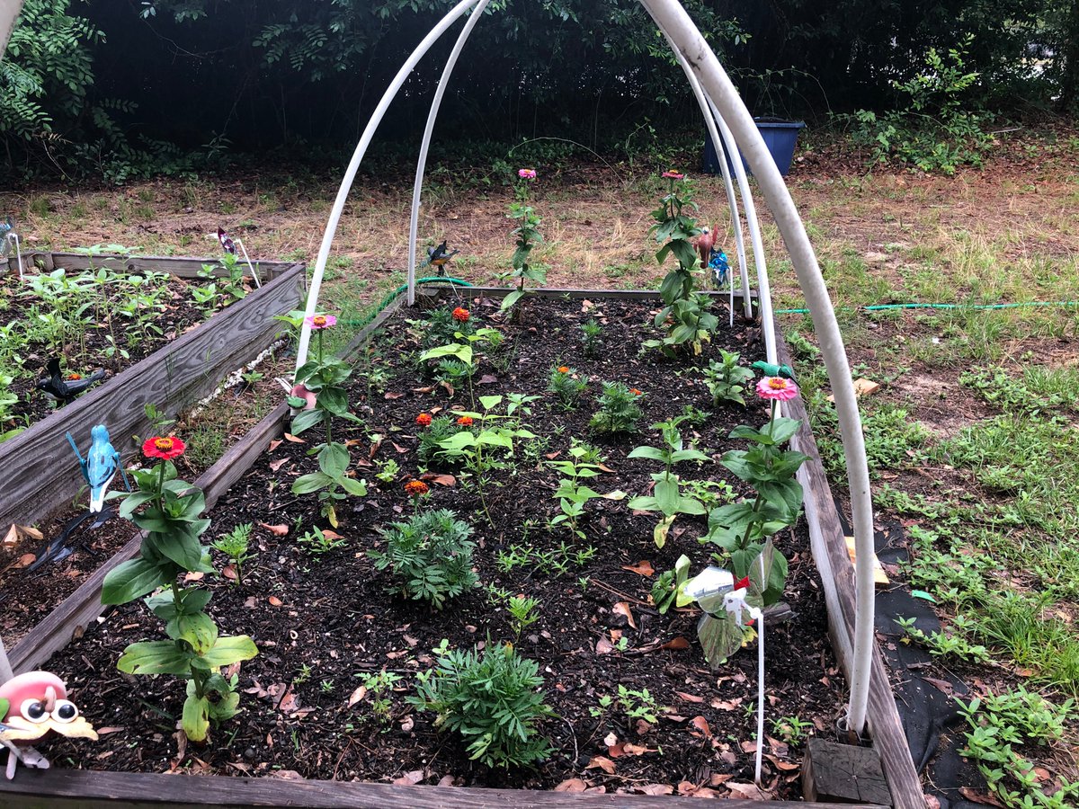 Andrenna A. Smith tweet media