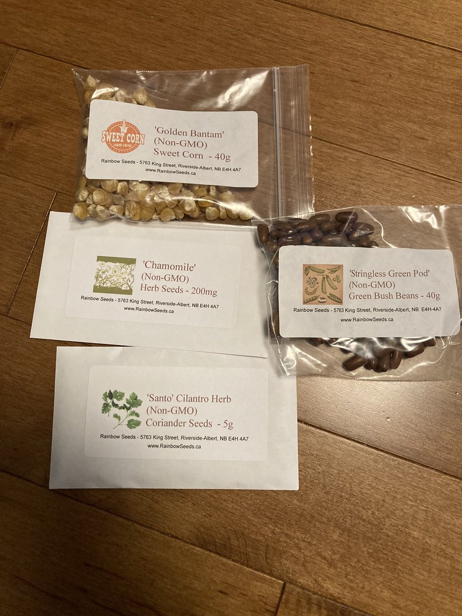 SchoolSolvers's tweet photo. 110 non gmo organic vegetable &amp; herb seed packets from Rainbow Seeds Riverside-Albert NB, ready to go to families as part of our urban agriculture project at Bessborough School!  Each family receives a unique pack. Eat local, support local! @NewPedagogies @AnglophoneEast https://t.co/s6OsxYdG8Z