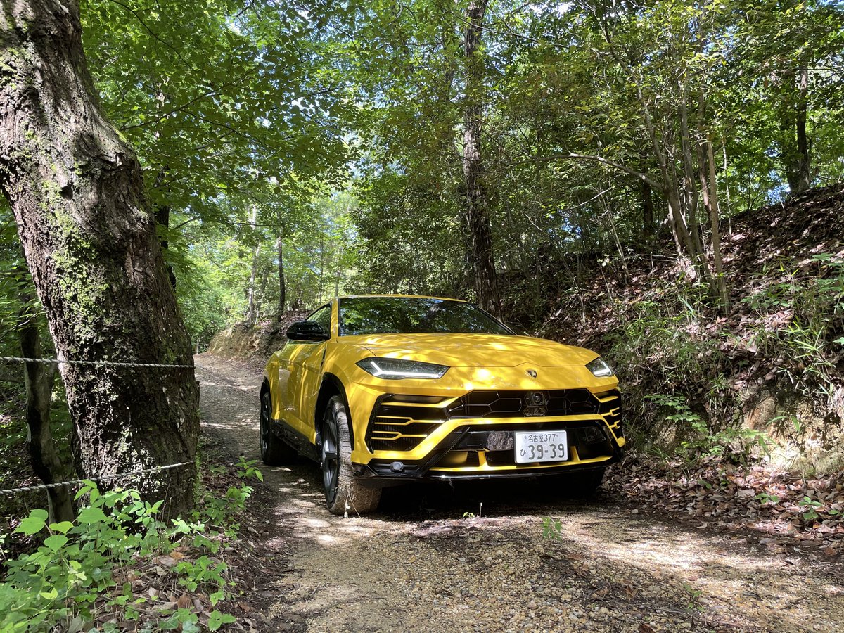 さなげアドベンチャーフィールド