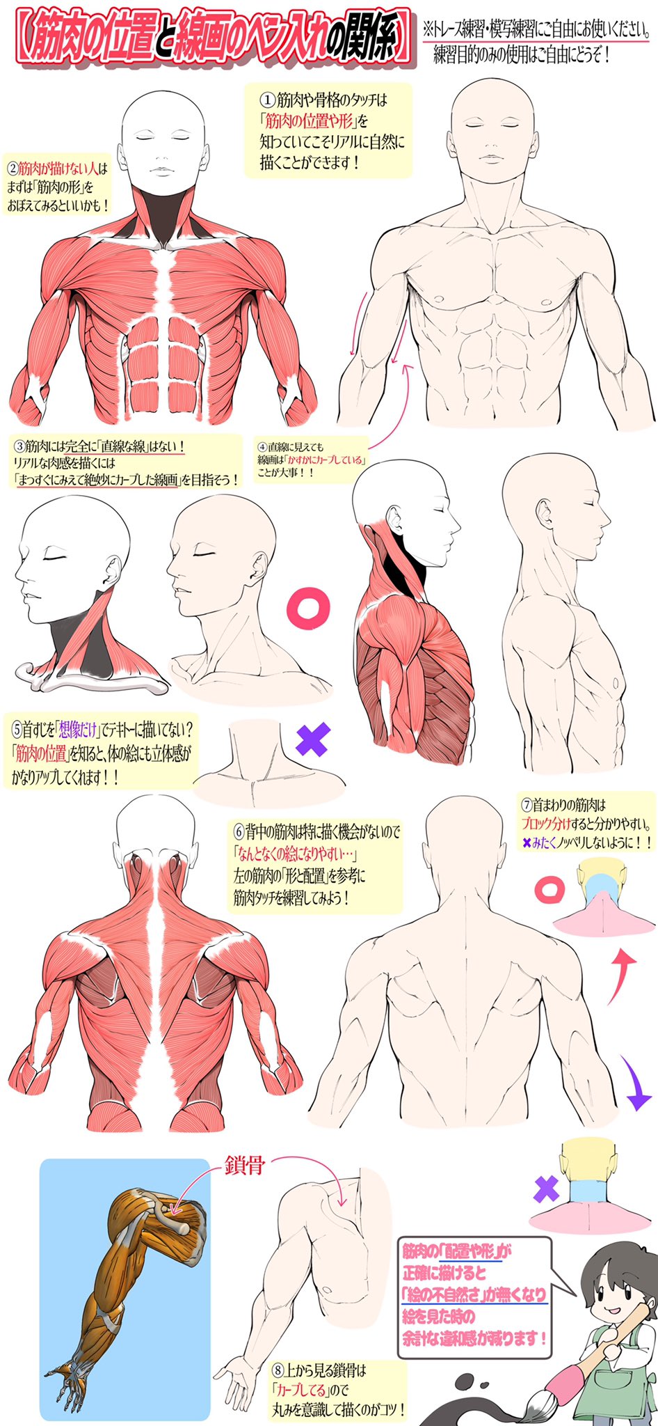 吉村拓也 イラスト講座 男性の肩まわりの筋肉デッサンの描き方 T Co Y2miflwqk5 Twitter