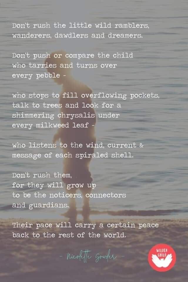 Cindy Anderson tweet media