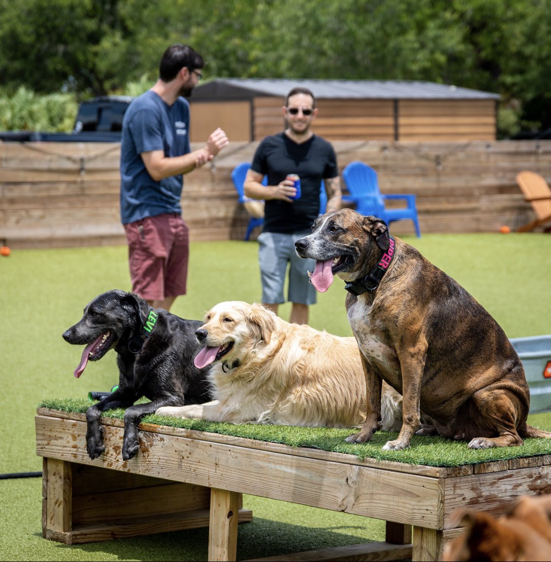 BryanGreenbaum's tweet image. instagram.com/p/CP35U8yl7pP/…