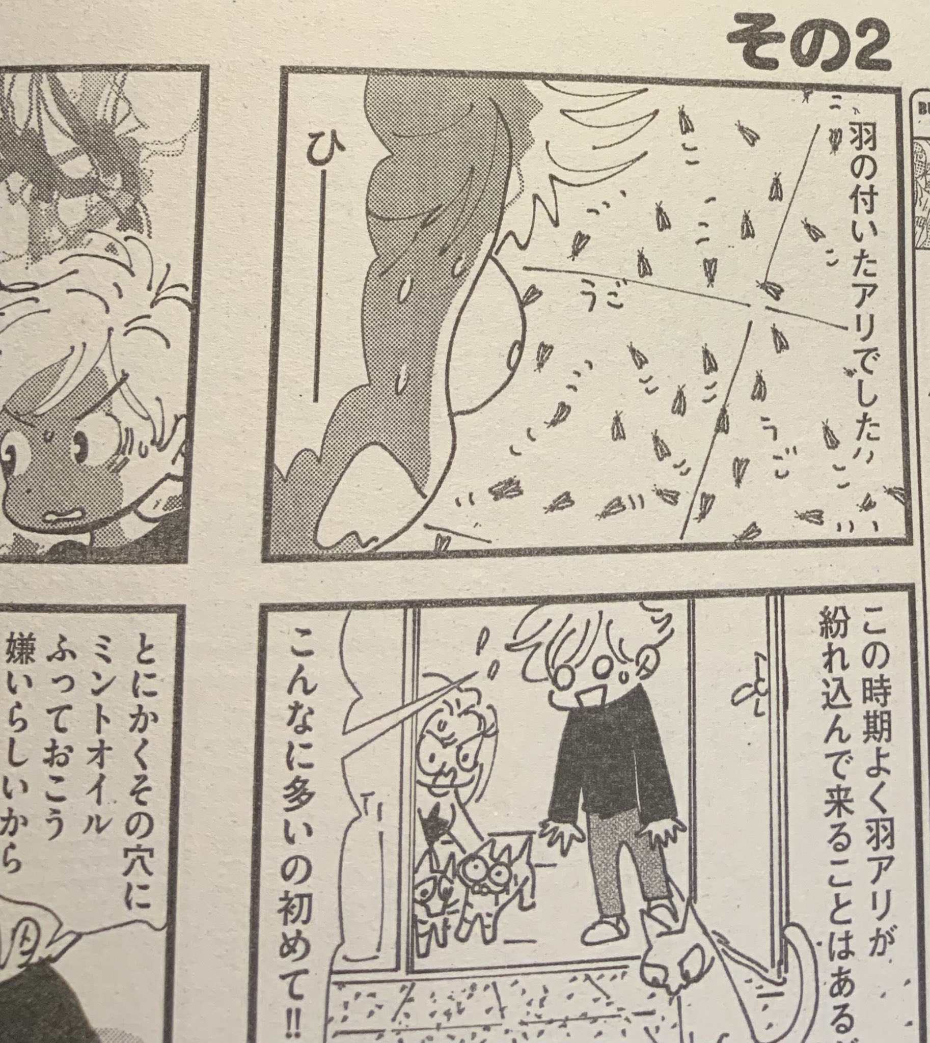 Twitter 上的 内田春菊 バスルームの床びっしりの羽アリ それからhsmと 他のキッチンツールについて 前の炊飯器が壊れて3年 バーミキュラ ライスポットが突然やってきてびっくり などを描きました T Co Quonniqrak Twitter