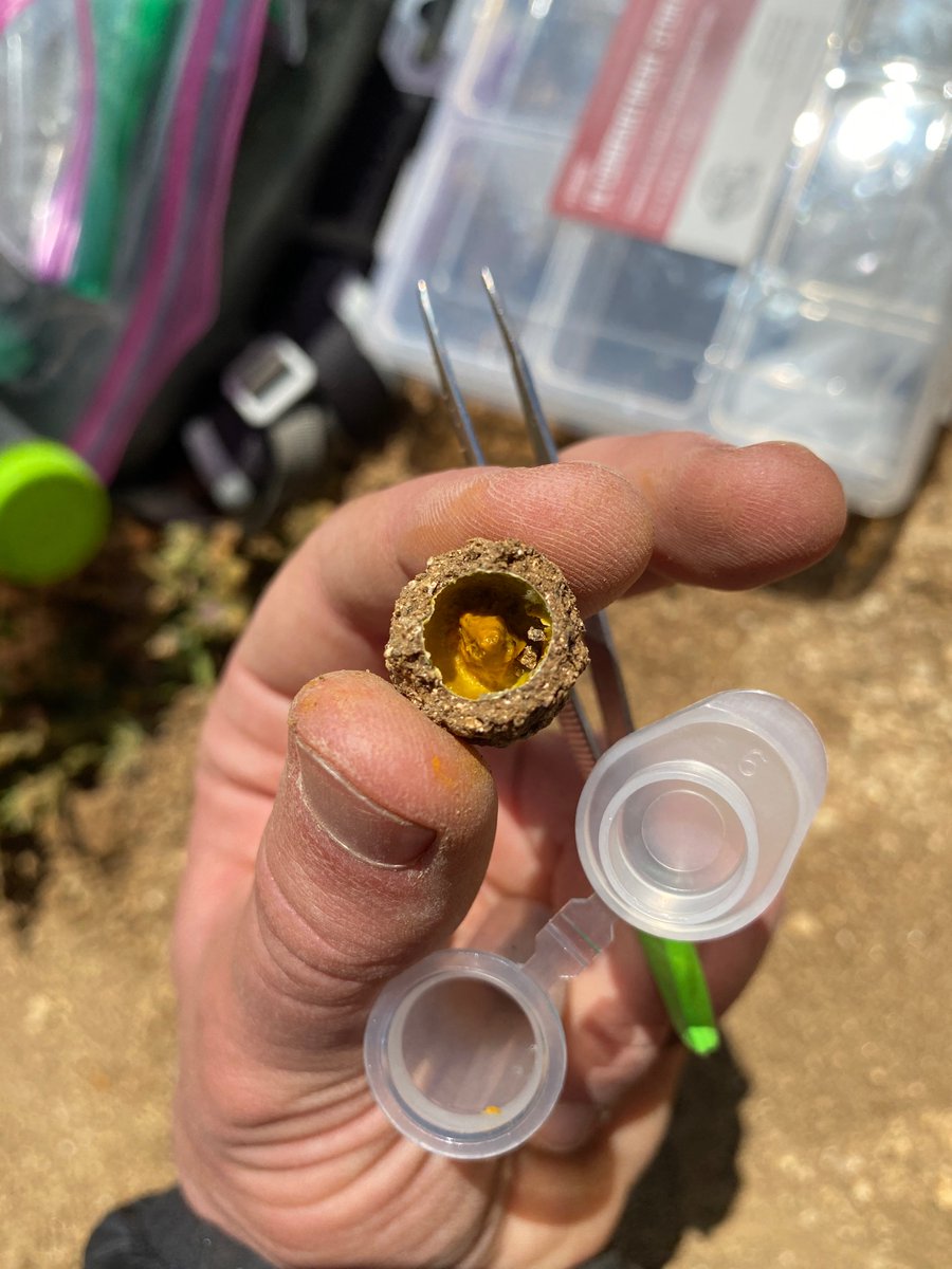 Shawn Christensen 🏳️‍⚧️ tweet media