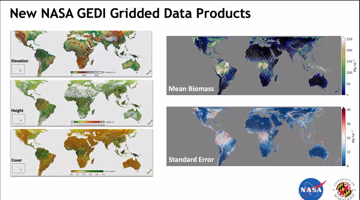 🇧🇿 Belize GEO 🛰️ (@bzgeo) on Twitter photo Really looking forward to Dr. @LauraDuncanson's presentation on the new <a href="/GEOSEC2025/">Group on Earth Observations</a> community activity, GEO-TREES. GEO-TREES focuses on mapping above ground biomass (AGB) from space. 🧐
x.com/BZgeo/status/1… Really looking forward to Dr. @LauraDuncanson's presentation on the new <a href="/GEOSEC2025/">Group on Earth Observations</a> community activity, GEO-TREES. GEO-TREES focuses on mapping above ground biomass (AGB) from space. 🧐
x.com/BZgeo/status/1…
