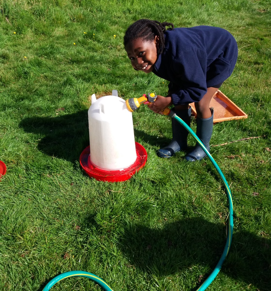 LathallanSchool's tweet image. Tuning into the @ScotlandRHShow action - showcasing the very best of farming, food &amp;amp; rural life 🍃🚜

📸 J1/2 pupils have been putting their learning into practice on #schoolfarm duty.

#RHShowcase2021 #TeachingOutsideTheClassroom