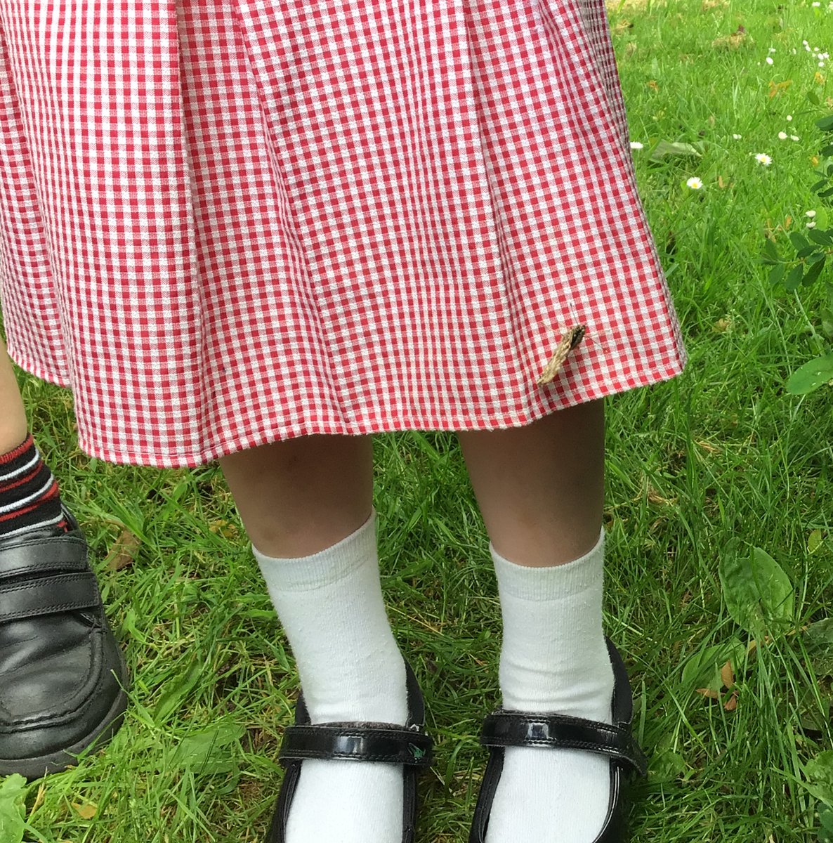 Nursery were very excited to release their butterflies. After watching the caterpillars grow and grow, then build a cocoon around themselves, they finally emerged as beautiful butterflies.