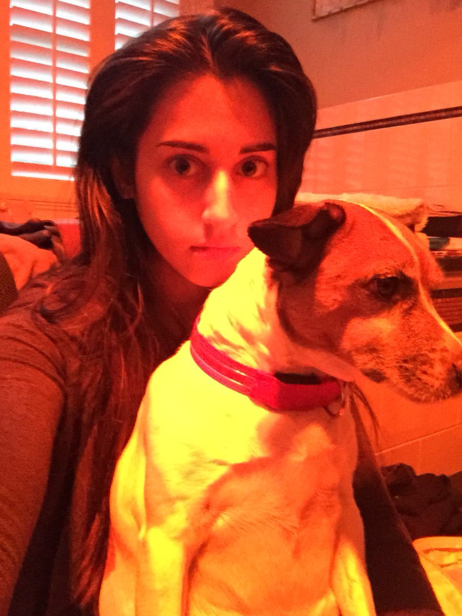 Milo’s Mom (@mil0rescuedme) on Twitter photo 