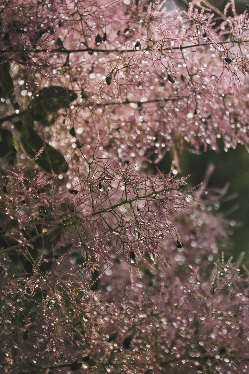 MotoBobik's tweet photo. Свой личный PINTEREST https://t.co/FdURI9mW1f