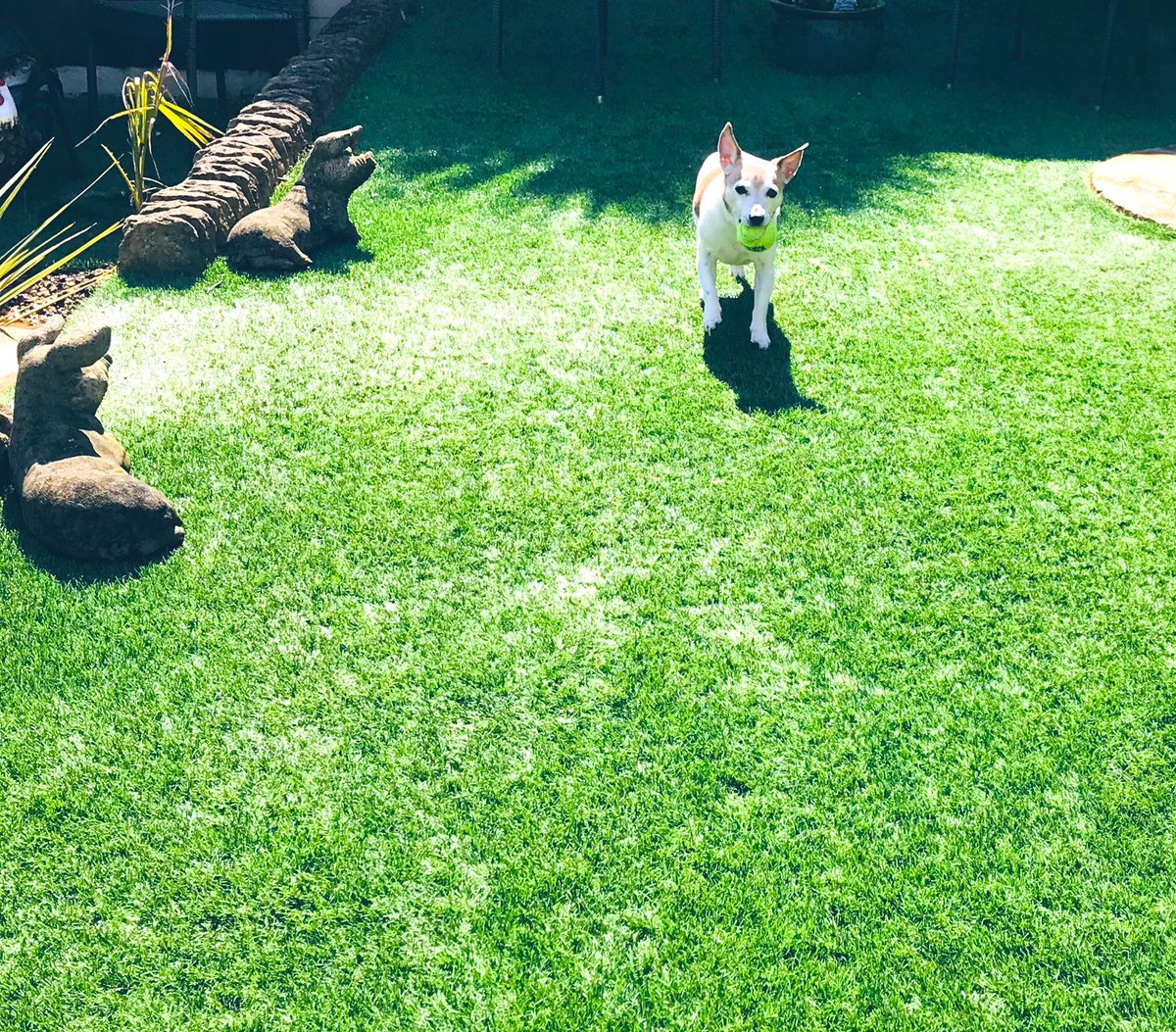PussPussTopCat's tweet photo. Action Wednesday #ActionWednesday https://t.co/baiCClXdAz