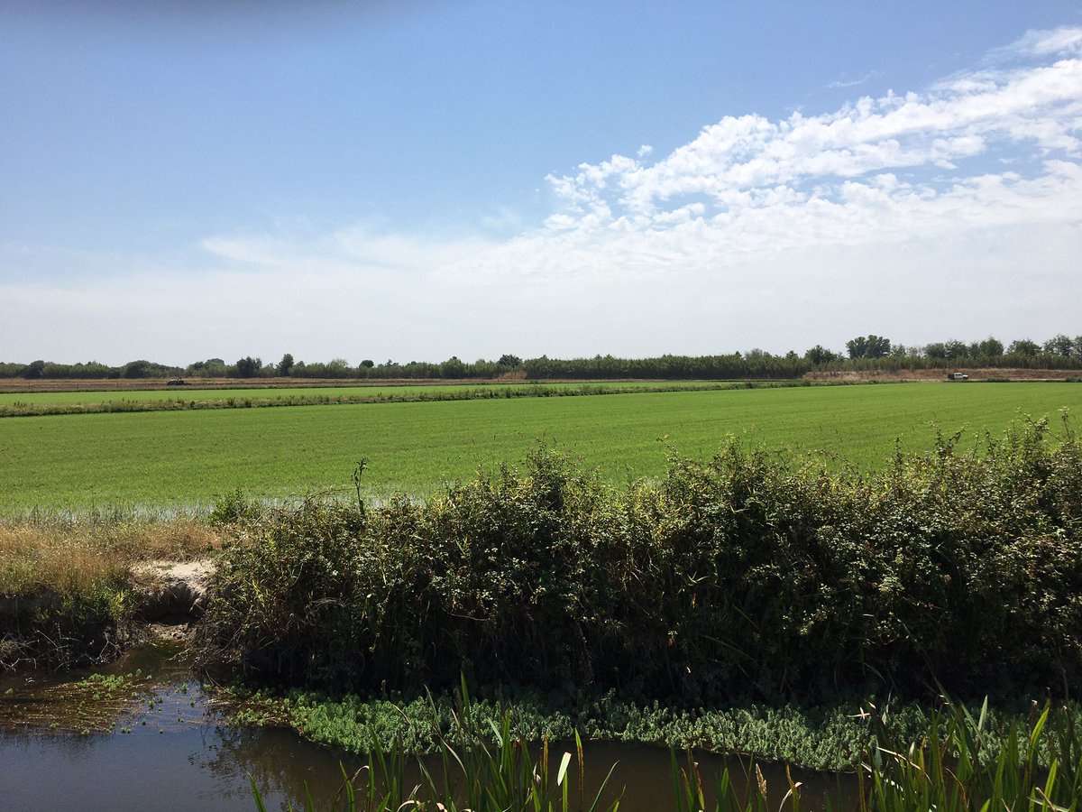 AgroGreenSUDOE's tweet photo. Muy productiva visita. ¡Seguimos avanzando! #AgroGreenSUDOE #ARBVS #ValeDoSorraia ✨ https://t.co/Sbvu8TxaNZ