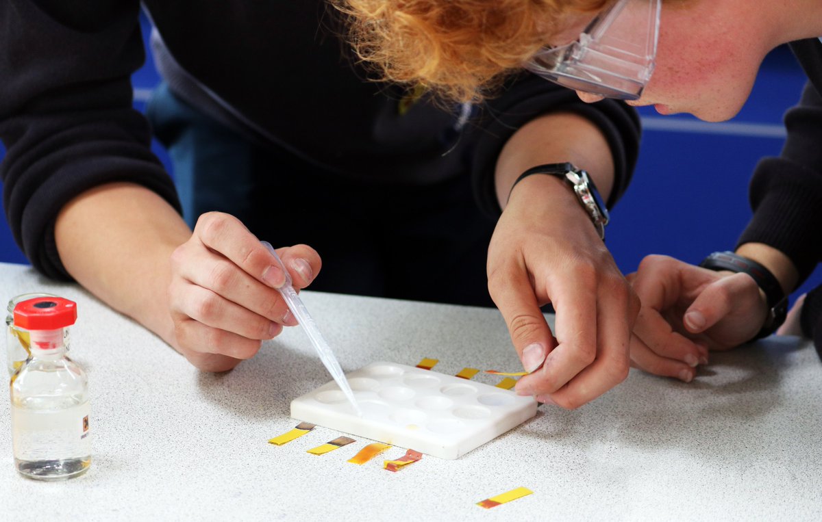 KennetSchool's tweet photo. Well done to #StDavid for their recent House Science win. Competition was fierce in our labs as our budding scientists battled it out to overcome a variety of challenges, including building rafts, constructing shelters and treating stings. #KennetScience #STEM https://t.co/6ynIXRZ2rp