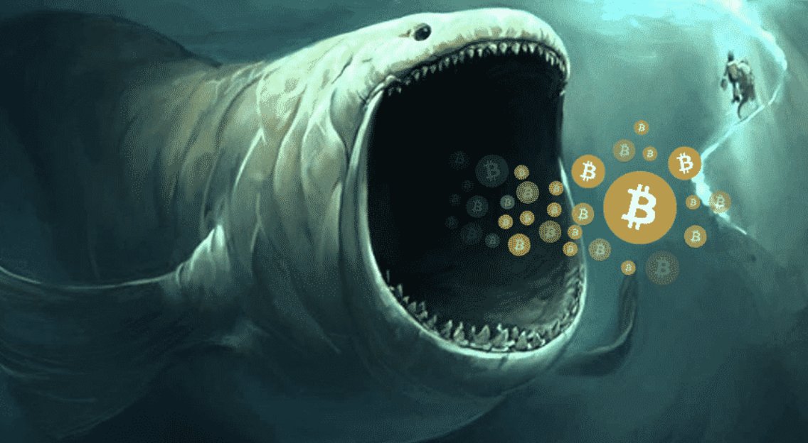 ufoexofficial's tweet photo. The rate of #Bitcoins maturing with long-term holders (#LTHs) has accelerated over the last month.

#cryptocurrency #crypto #cryptotwitter #cryptocurrencies #BTC https://t.co/hmMObk5opg