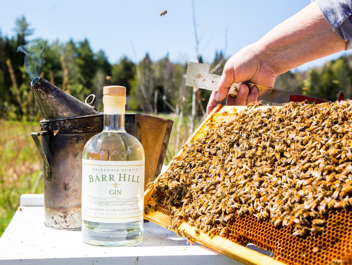 BarrHillGin's tweet photo. Join Barr Hill and @Pollinators for a special #PollinatorWeek cocktail &amp; conversation virtual event Tuesday, June 22nd at 7pm EST.

Sign up here: https://t.co/ndKSyIXGaP

#pollinatorweek2021 #pollinatorpartnership #pollinatorconservation #pollinatorfriendly #beefriendly #bees https://t.co/IE4kse2x7t
