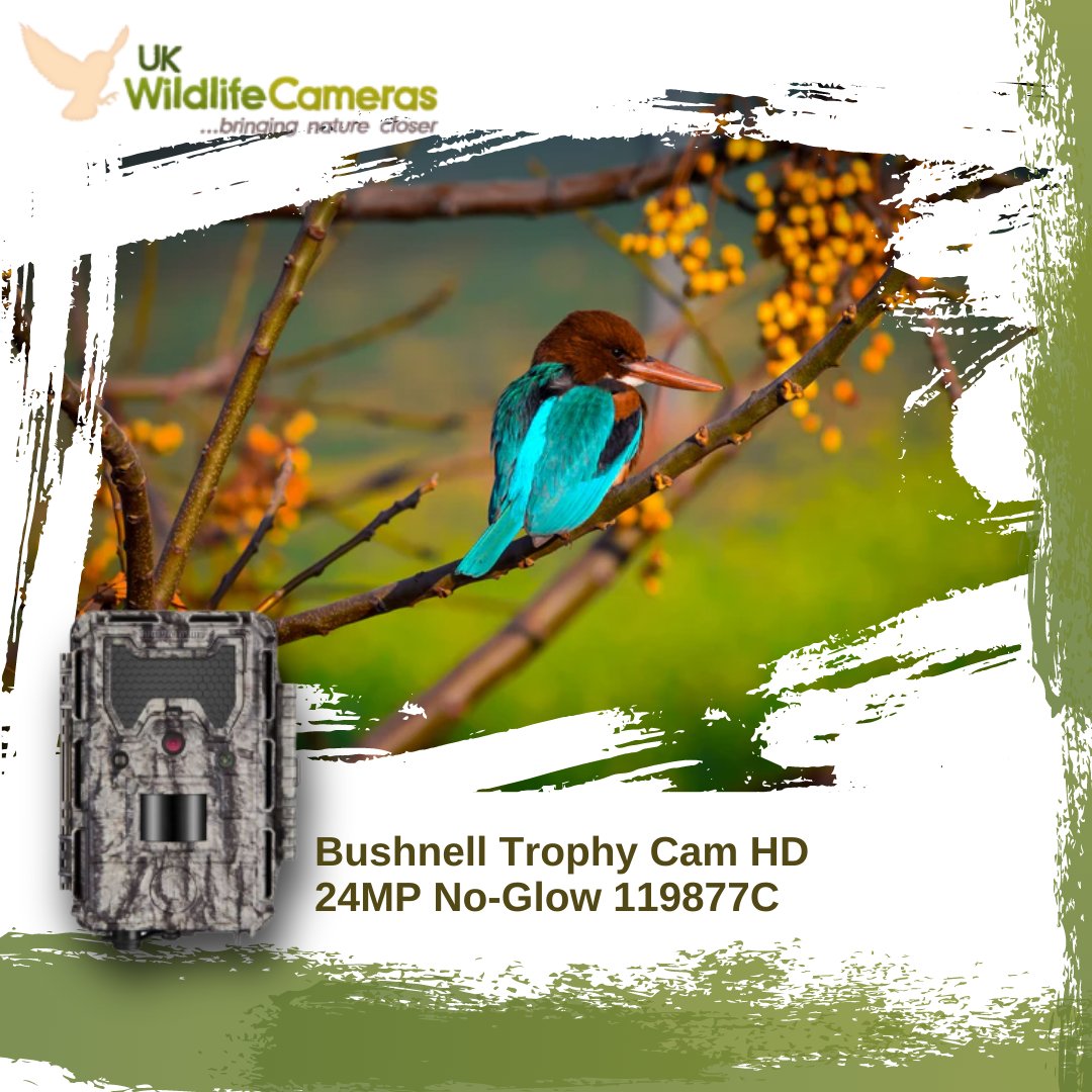 The Bushnell Trophy Cam model 119877 offers an impressive 24MP high-resolution footage together with an astonishing trigger speed of 0.2 seconds

Visit our website for more! ukwildlifecameras.co.uk

#wildlife #nature #trailcams