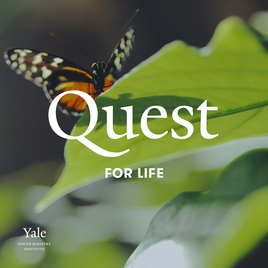 YMI_Yale's tweet photo. YMI Quest for Life curriculum provides a roadmap for nurturing joy for your youth. Find it for free at https://t.co/My25liLovV.
#YMI #yds #QuestForLife #YouthCurriculum https://t.co/7YfB7Yr7eX