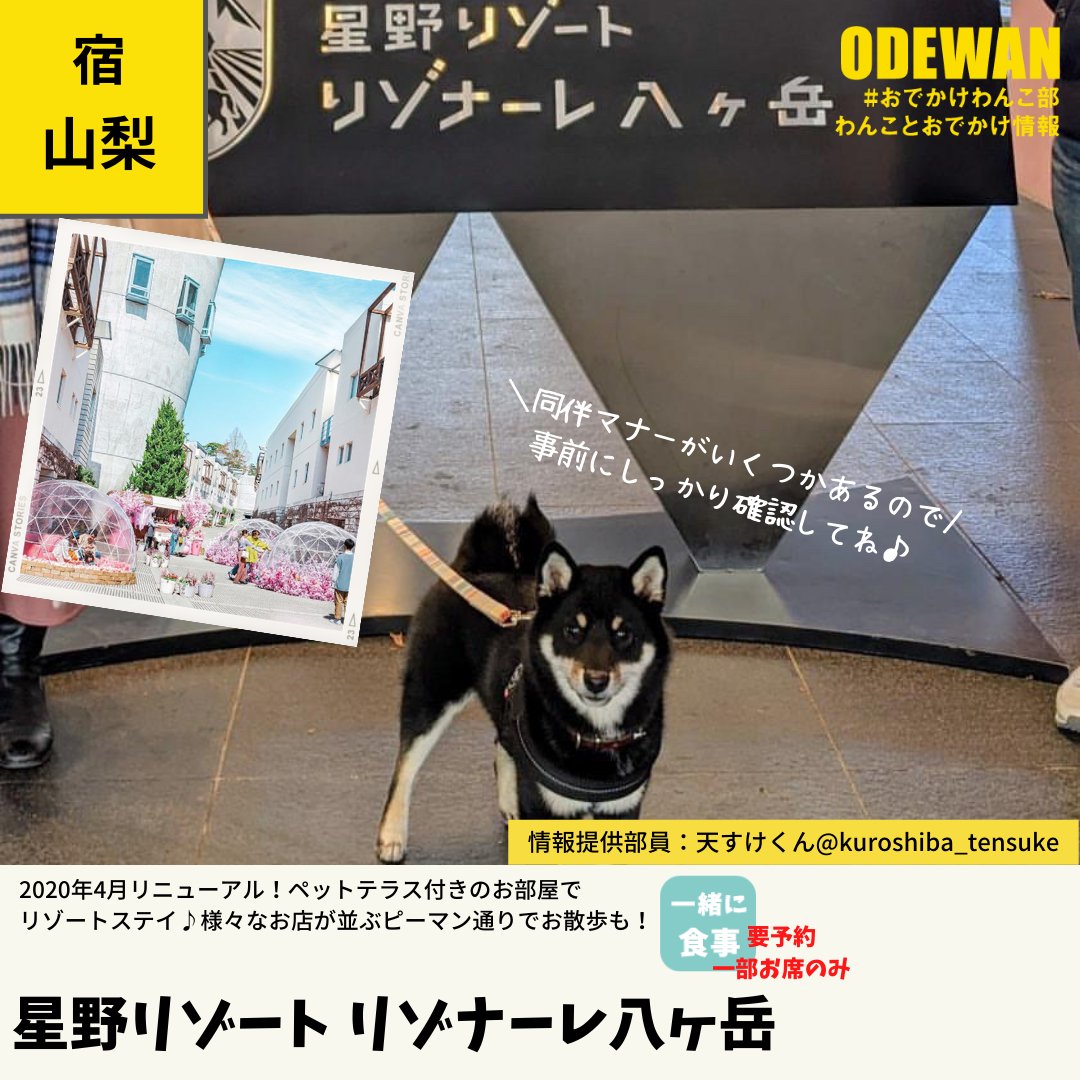 おでかけわんこ部 愛犬とのおでかけ情報 星野リゾート リゾナーレ八ヶ岳 に泊まったよ 天すけくんから写真レポが届きました 山梨県 犬と泊まれる宿の詳細 T Co Rkih1l2wnn おでかけわんこ部 わんことお出かけ わんこok わんこokカフェ 犬