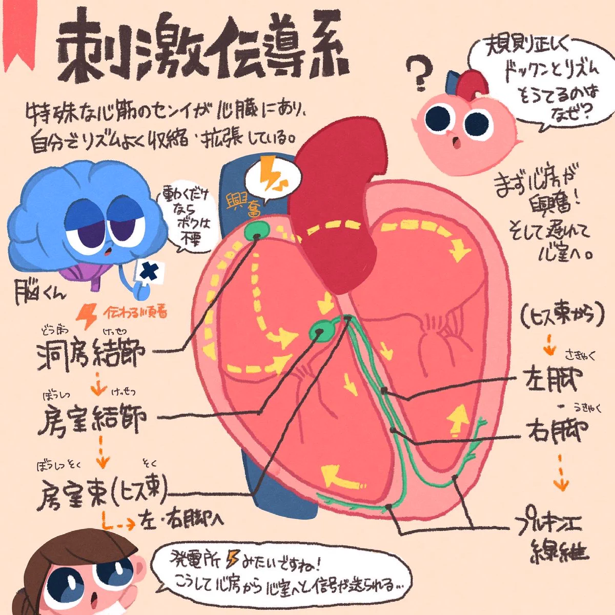 E3_8gorUcAYLR1g?format=webp&