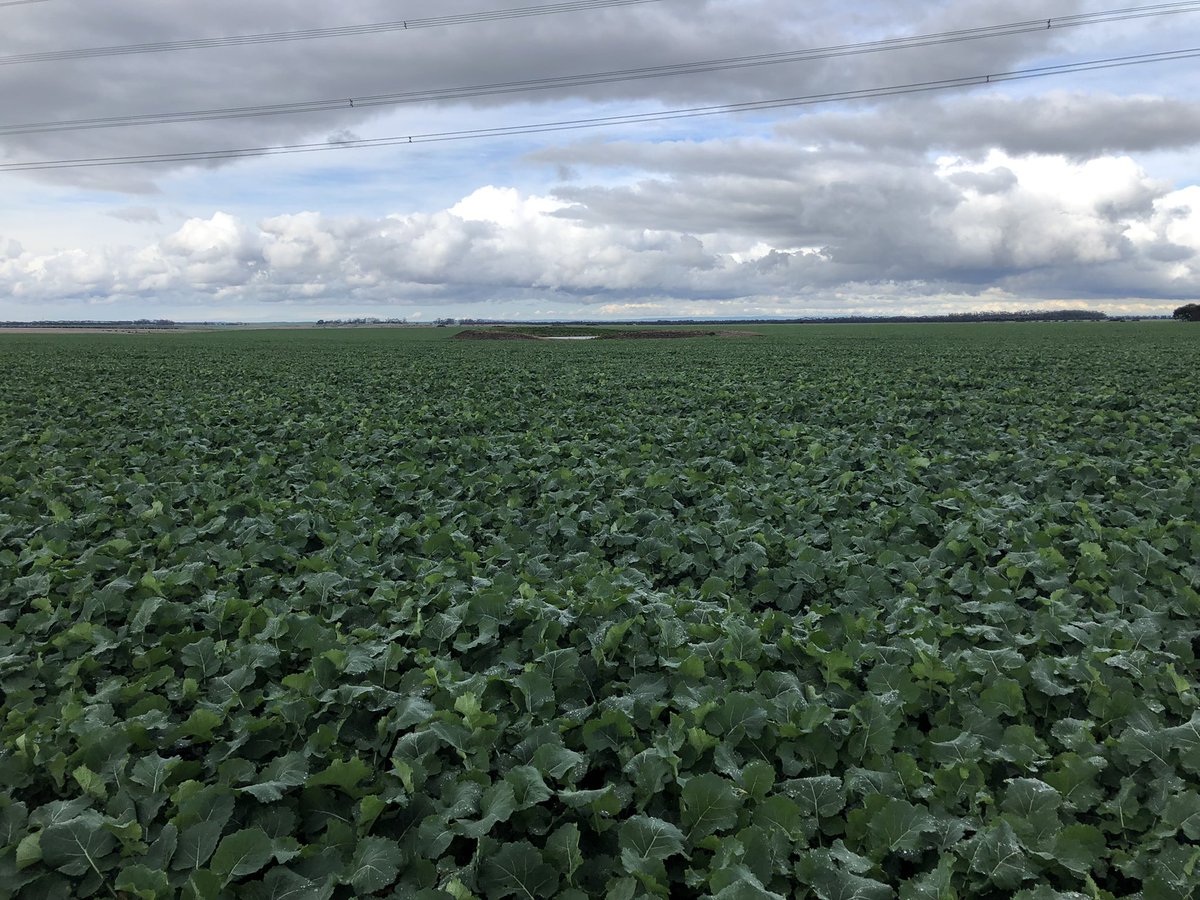 Zac Carty tweet media