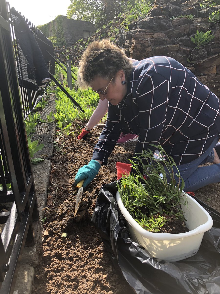 NTU_Museum's tweet photo. โAt the start of lockdown, @NottmCastle trust distributed 900 packs of seed across Nottinghamshire. Asking people to germinate, grow, nurture and keep safe until re-introducing the plants to their rightful home at Nottingham Castle in 2021โ
#CampionsLeague #NottinghamCatchfly https://t.co/cG5MzUi4RA