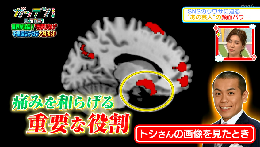 生理痛 トシ トシ（タカトシ）で生理痛が軽くなる？理由・画像集・ネットの反応！月曜から夜ふかしで話題！