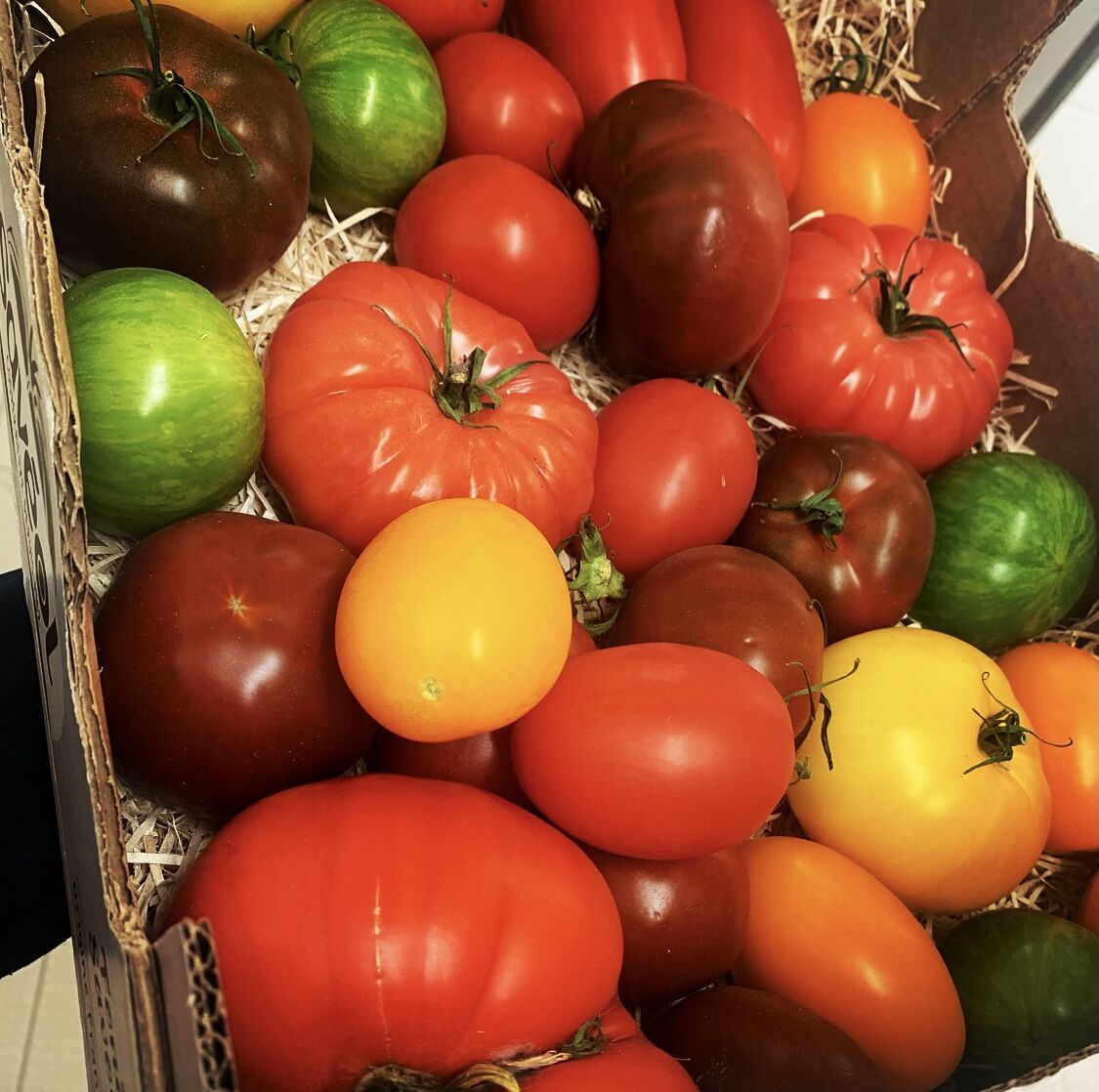 Dupont Restauration tweet media