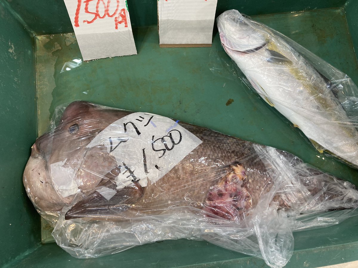 おじゃるず Ojarus Com Twitter