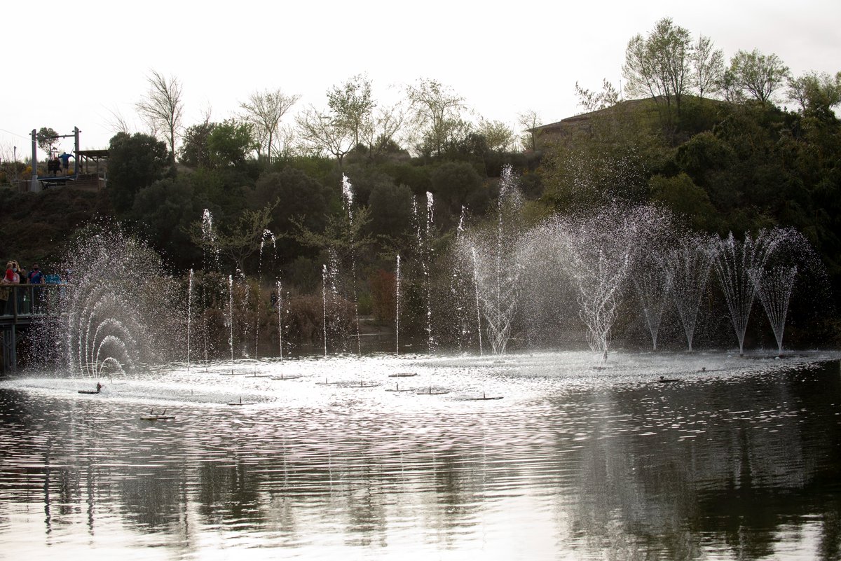 sendaviva's tweet photo. ¿Tienes ganas de pasarlo bien? Te esperamos este fin de semana en Sendaviva con el nuevo Show del Agua. 💦⛲️🎶🎵#Naturaleza #TurismoSeguro #AireLibre #PlanesEnFamilia #ConPeques #SomosKidsFriendly https://t.co/0x72BRHMr2