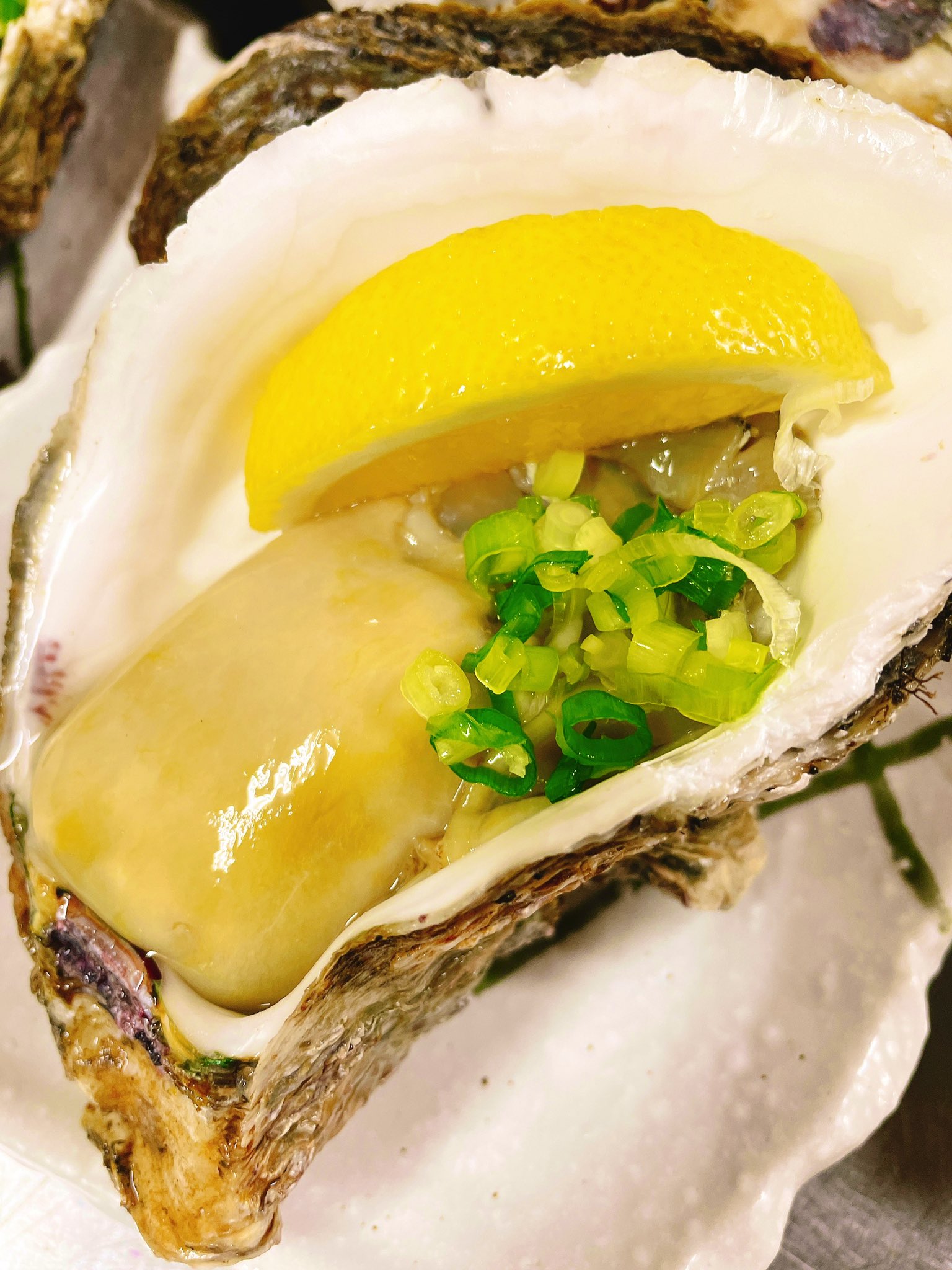 利休 ご好評により 飯岡産年物の 特大岩牡蠣 1300 税別 入荷しました 身がとても大きくてクリーミーさがタマりません 期間限定なので お早めにご連絡くださいませ 0478 8137 千葉県 香取市 利休 飯岡産岩牡蠣 岩牡蠣 特大岩