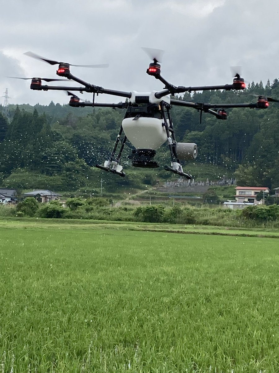 iwa_dro's tweet photo. 肥料散布は、散布量が10kg/反と多いので、粒が散布されているのが、派手に見えます。遠くでカミナリも聞��えましたが、雨も降らず終わりました。今日は散布の設定を変えてみました。 https://t.co/xHniIIui7x