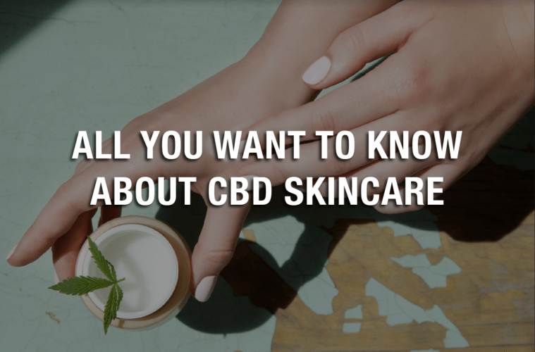 HempOilBusiness's tweet photo. All You Want to Know About CBD Skincare

Learn here: https://t.co/zmNnXkCLeL

#CBD #CBDSkincare #CBDUse https://t.co/MxMVUkcQzM
