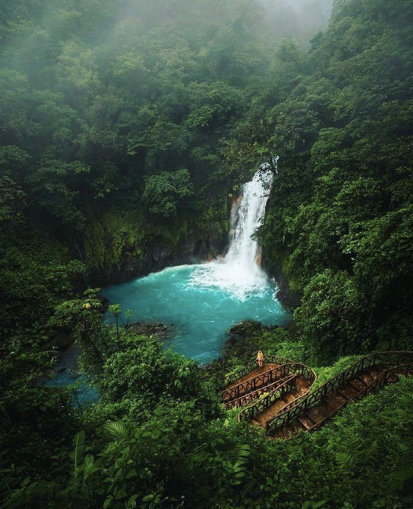 Amazing53519501's tweet photo. 📍Rio celeste | Costa rica 🇨🇷 

#Rioceleste #Coatarica #NaturePhotographyDay #nature #naturelovers #adventure #explore #NaturePhotography #vacation #vacationvibes #niceplace #beautifulplace #waterfall #planetearth #traveltheworld #traveler #traveling #beatifuldestination https://t.co/3Fgrry0HQj