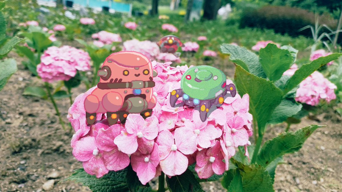 🌼🌼🤖🤖🤖🌼🌼
#wisewizardgames #robotquestarena