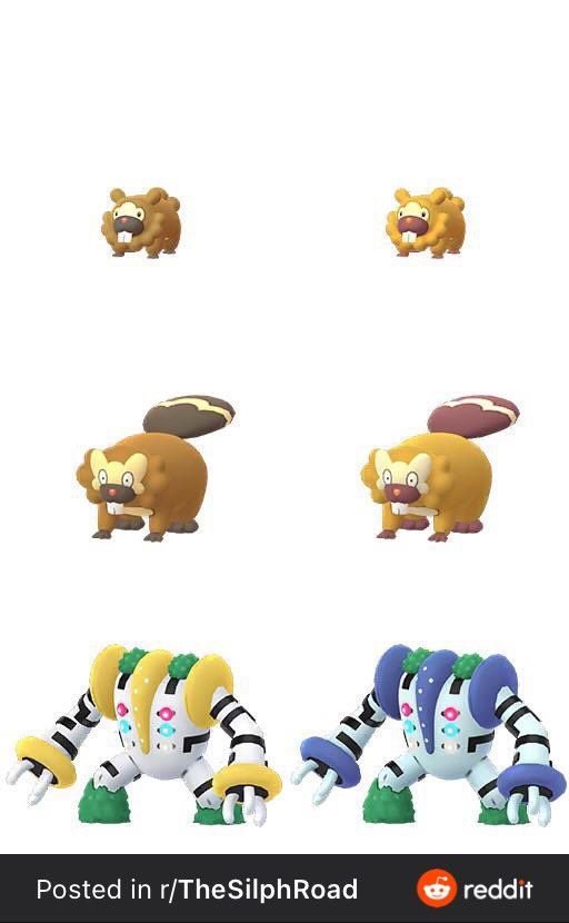 GO Field Guide on X: Bidoof Family and Regigigas Shiny Comparison