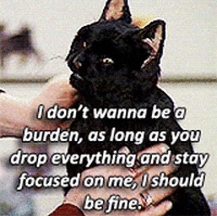 homophobes are ugly tweet media