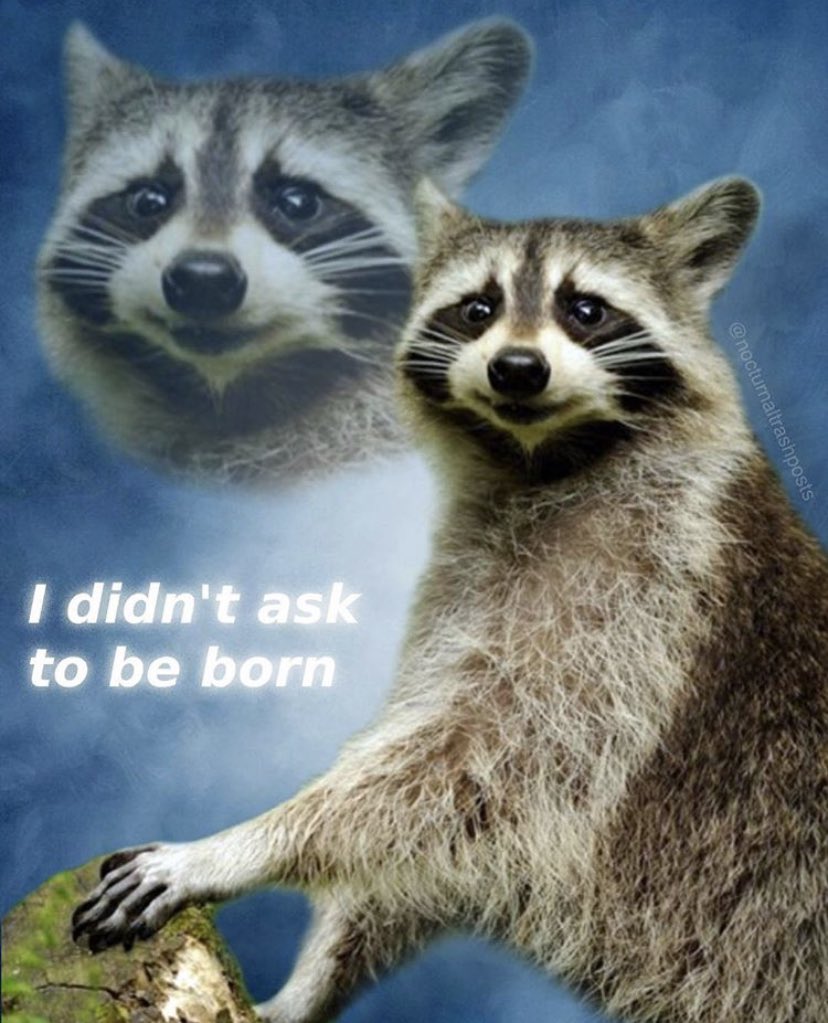 homophobes are ugly tweet media