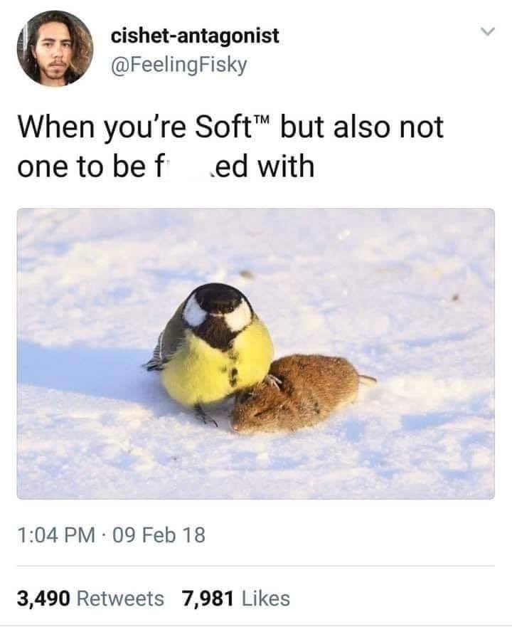 homophobes are ugly tweet media