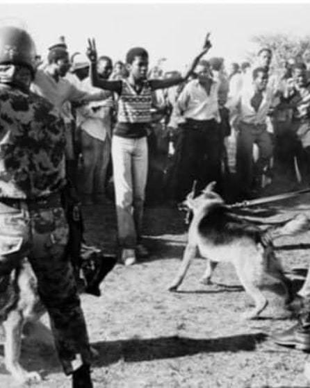 activedayssa's tweet photo. The wounds have not healed, we try to make it better, but sometimes it feels like we’re fighting a losing battle. #changedman #YouthDay2021 #16June2021 https://t.co/rzIXiPvFam