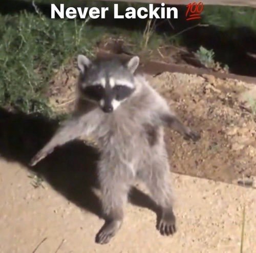 homophobes are ugly tweet media