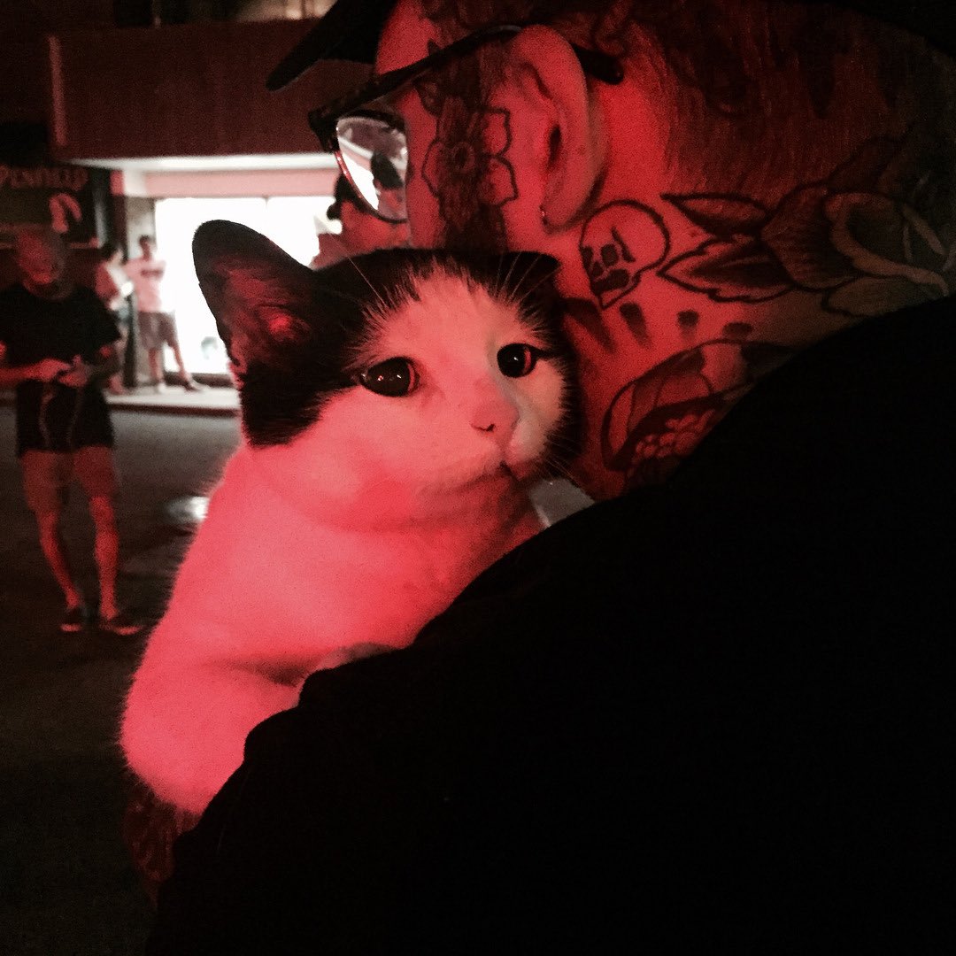 homophobes are ugly tweet media