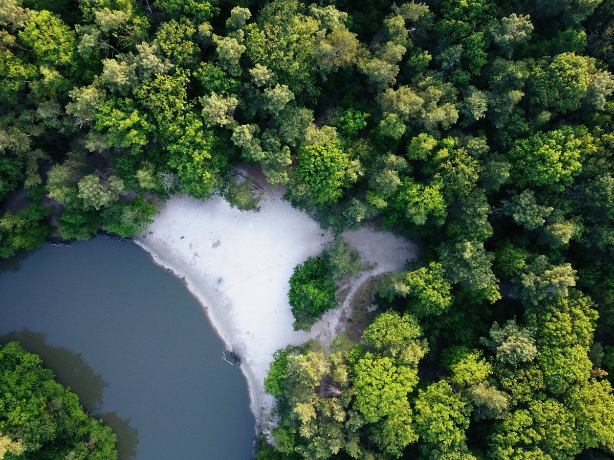 Strandje in het bos 🌿 En zo blijven we ons verbazen over ons eigen landje #toeristineigenland #ontdeklandal
instagram.com/p/CQLEFsiDH28/…