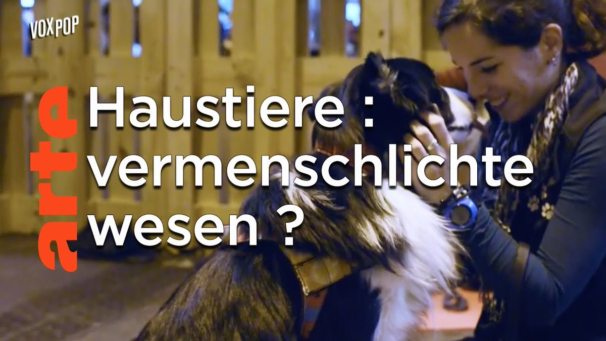 🦮 Hund, Katze, Hamster, Kaninchen... 85 Millionen europäische Familien haben mindestens ein #Haustier !

👉 urlz.fr/fUFp