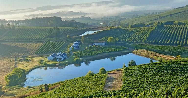 winetourismza's tweet photo. #PaulWallaceWines offers a tranquil getaway for anyone looking for a farm break close to Cape Town and is a special treat for wine lovers | https://t.co/ywyJihlDcb via @FarmersWeeklySA
#ExperienceElgin #ElginMagic #WineryExploring
(📰📷@BrianBerkmanZA) https://t.co/bfhdMQKvDh