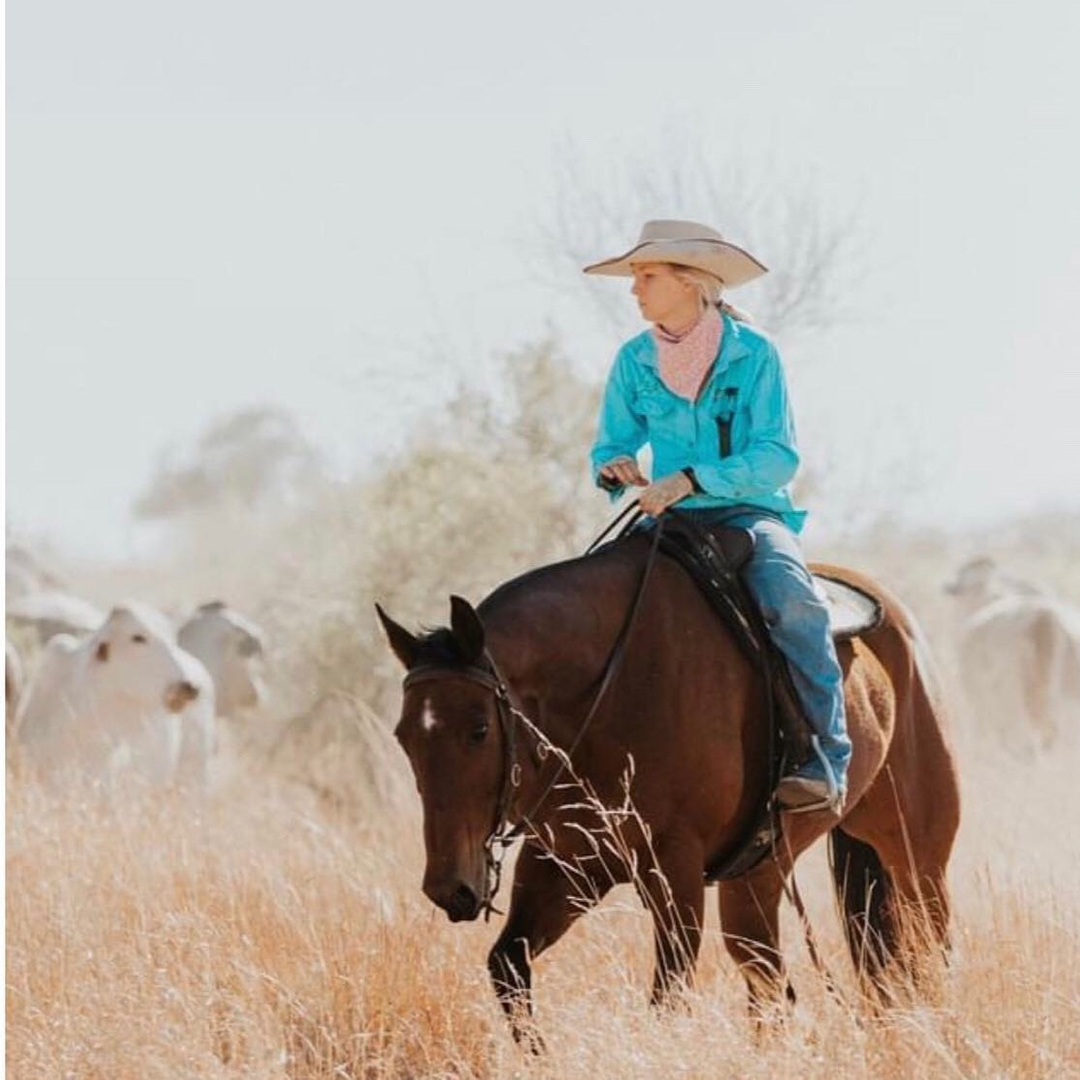 The Jillaroo tweet media