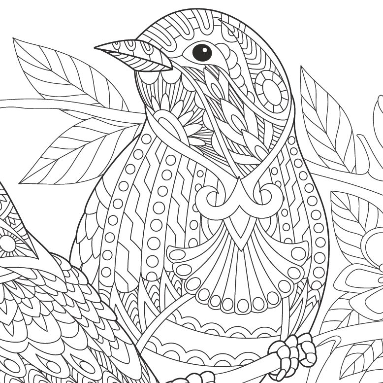 ForestryEngland's tweet photo. Are you a nature loving artist?🎨 Download our FREE forest themed #ColouringSheets here👉 https://t.co/TSYLgDWQnx https://t.co/gMKOUzECIE