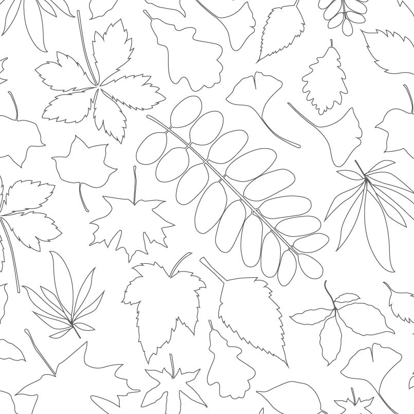 ForestryEngland's tweet photo. Are you a nature loving artist?🎨 Download our FREE forest themed #ColouringSheets here👉 https://t.co/TSYLgDWQnx https://t.co/gMKOUzECIE