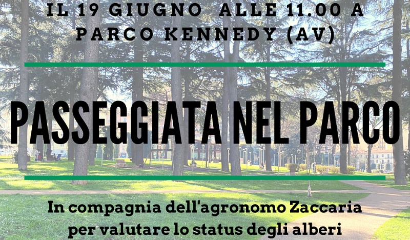anteprima24's tweet photo. ** ##Avellino, cura del verde pubblico: passeggiata con Legambiente al Parco Kennedy ** https://t.co/sPGDIuR5Ku
#CancroColorato #FerdinandoZaccaria #ParcoKennedy #PasseggiataLegambiente #Platani #AttualitàAvellino #anteprima24 https://t.co/qbdMqpjiKF