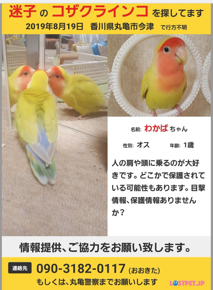 Rei Rei Twitter